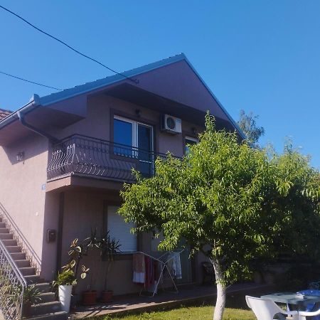 בלגרד Apartment Andjela מראה חיצוני תמונה