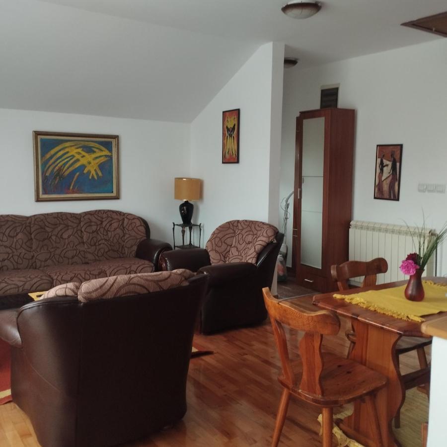 בלגרד Apartment Andjela מראה חיצוני תמונה