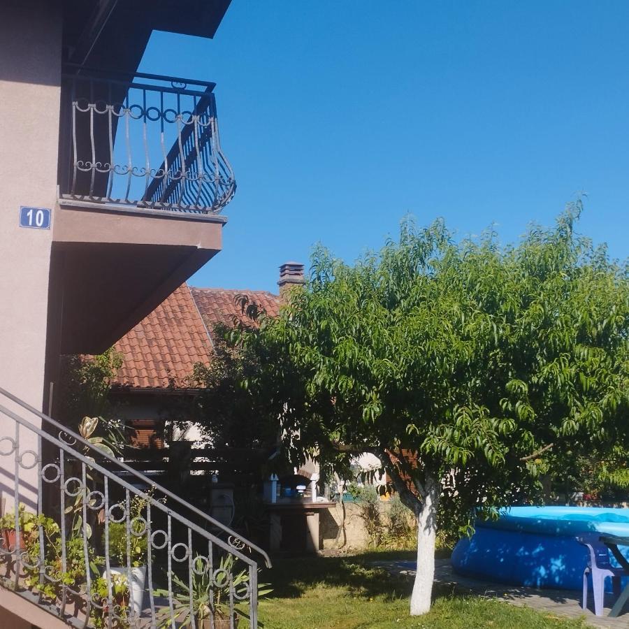 בלגרד Apartment Andjela מראה חיצוני תמונה